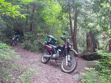 ����352�吼���Q��