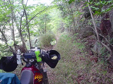 ����352�吼���Q��