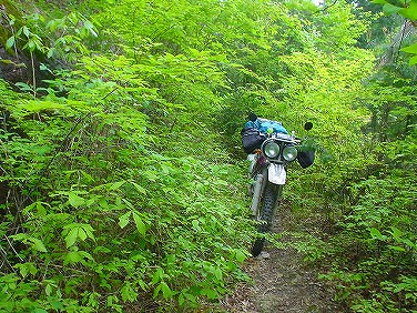 ����352�吼���Q��