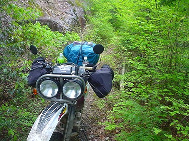 ����352�吼���Q��