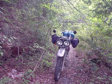 ����352�吼���Q��