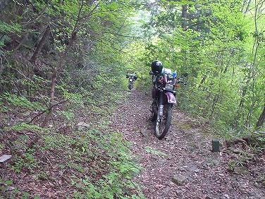 ����352�吼���Q��