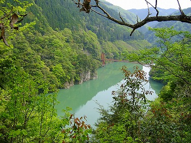 ����352�吼���Q��