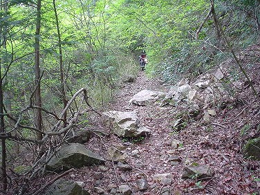 ����352�吼���Q��