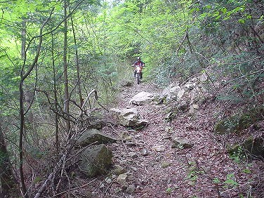 ����352�吼���Q��