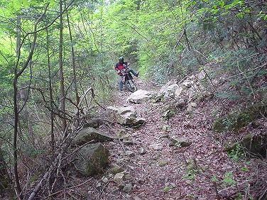 ����352�吼���Q��