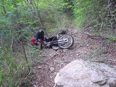 ����352�吼���Q��