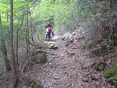 ����352�吼���Q��