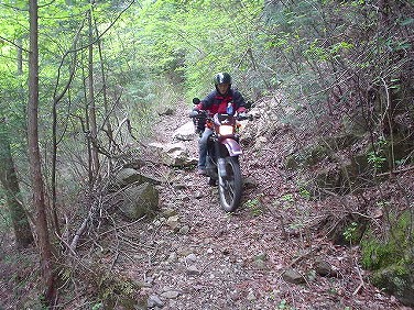 ����352�吼���Q��