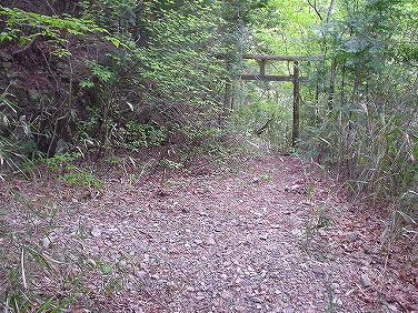 ����352�吼���Q��