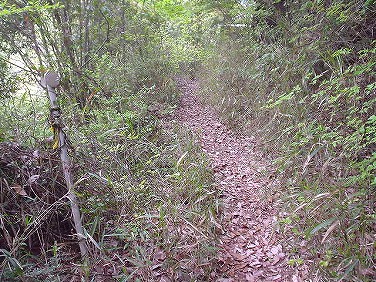 ����352�吼���Q��