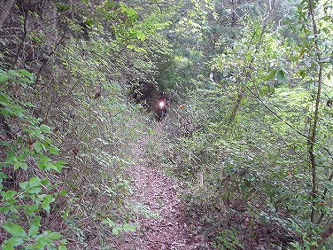 ����352�吼���Q��