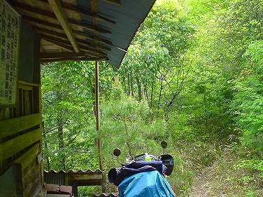 ����352�吼���Q��