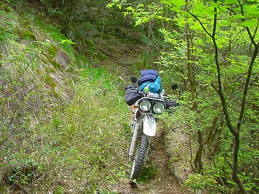 ����352�吼���Q��