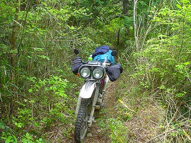 ����352�吼���Q��