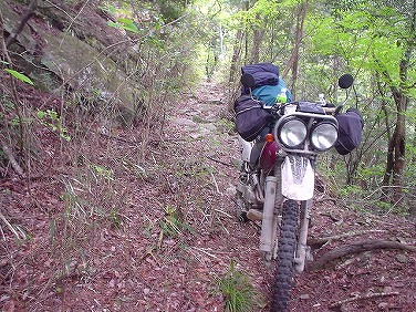 ����352�吼���Q��