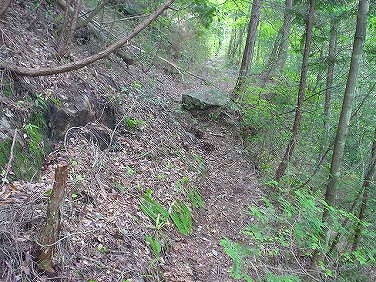 ����352�吼���Q��