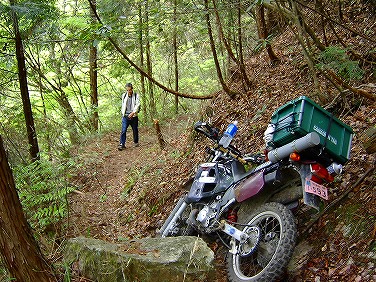 ����352�吼���Q��