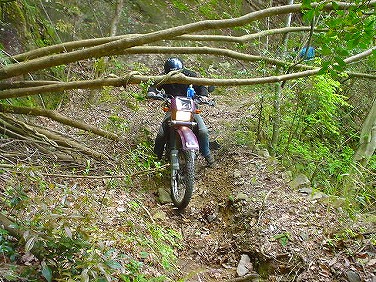 ����352�吼���Q��