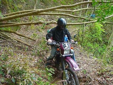 ����352�吼���Q��