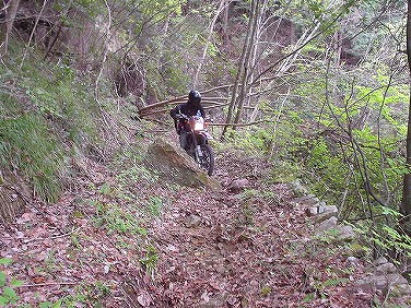 ����352�吼���Q��