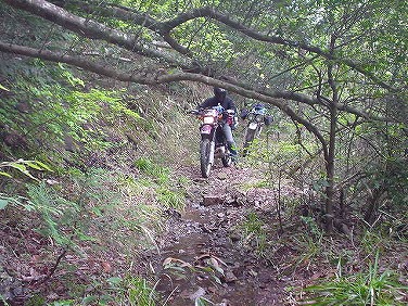 ����352�吼���Q��