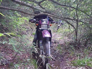 ����352�吼���Q��