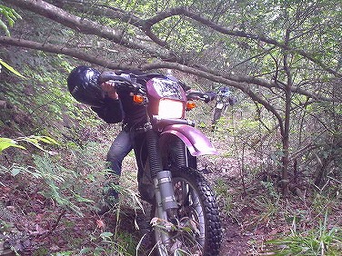 ����352�吼���Q��