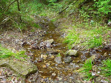 ����352�吼���Q��