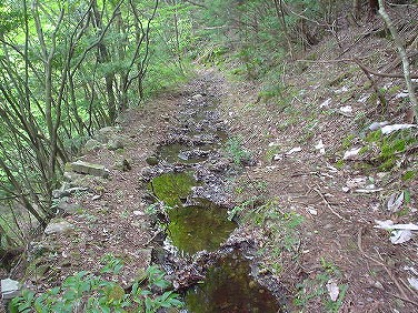 ����352�吼���Q��