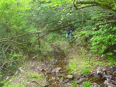 ����352�吼���Q��