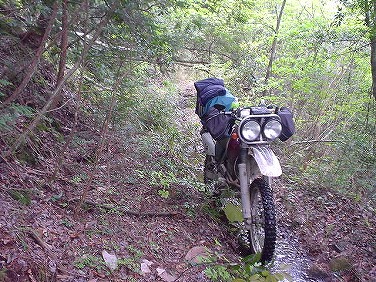 ����352�吼���Q��