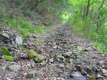 ����352�吼���Q��