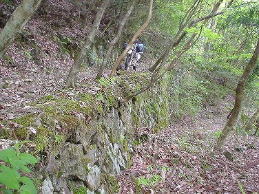 ����352�吼���Q��