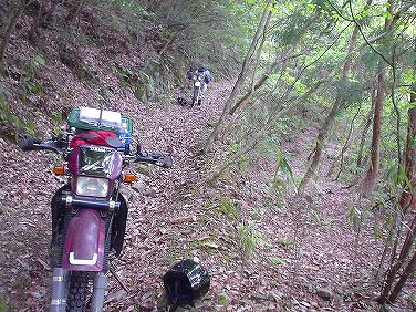 ����352�吼���Q��