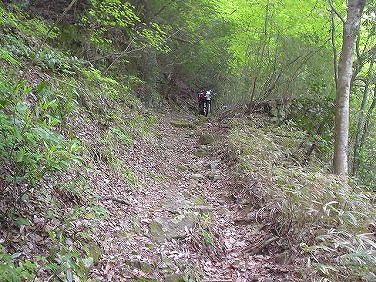 ����352�吼���Q��