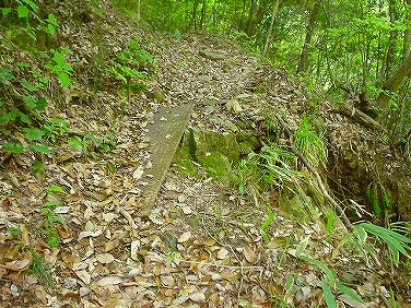 ����352�吼���Q��