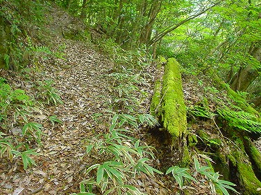 ����352�吼���Q��