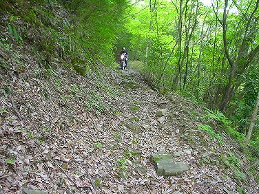 ����352�吼���Q��