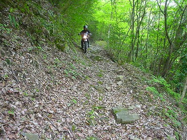 ����352�吼���Q��