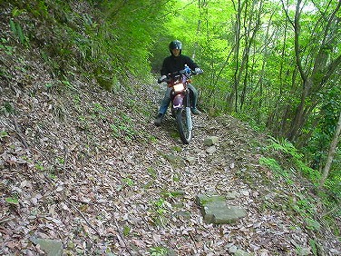 ����352�吼���Q��