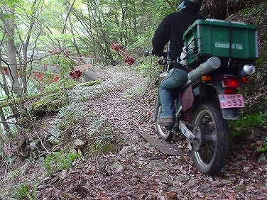 ����352�吼���Q��