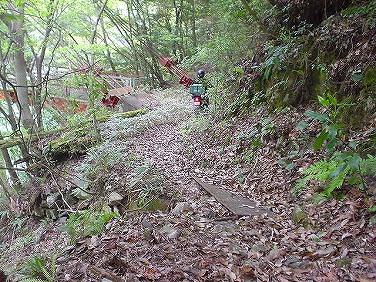 ����352�吼���Q��