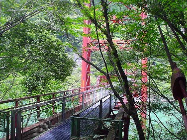 ����352�吼���Q��