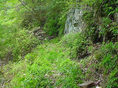 ����352�吼���Q��