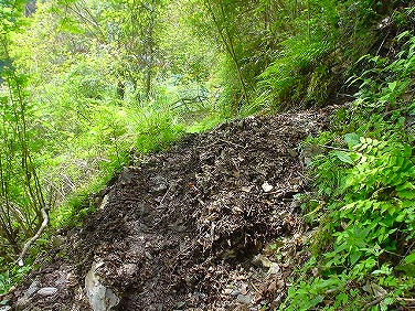 ����352�吼���Q��