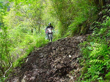 ����352�吼���Q��