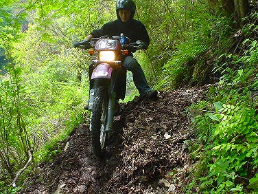 ����352�吼���Q��