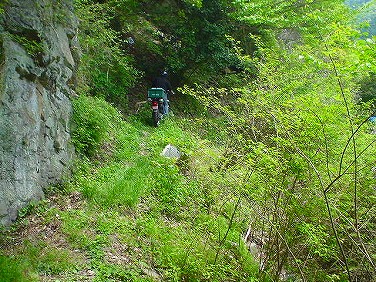 ����352�吼���Q��