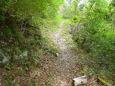 ����352�吼���Q��